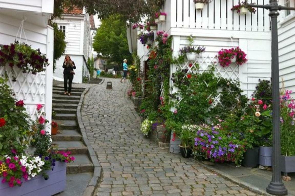 Historical Apartments In The Heart Of The Old Town Stavanger Dış mekan fotoğraf